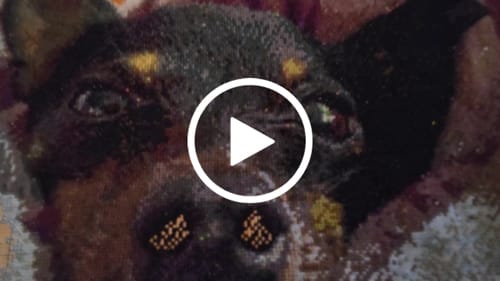 Customer video review of Custom Cross Stitch Tapestry Kit | Just Upload Your Photo!