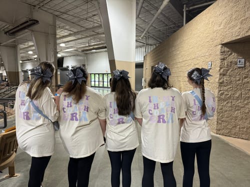 Customer photo review of BUILD YOUR OWN GANG SHEET