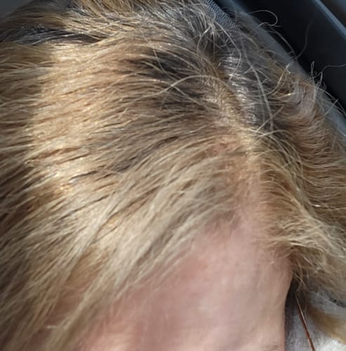 Customer photo review of Profi-Pflanzenhaarfarbe kühles Sahara-Blond "cool sahara blond in 2-Steps" 2x 90g Nachfüllpacks