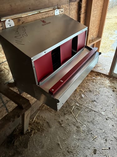 Customer photo review of Medium (34") Reversible Rollout Nest Box (Up to 32 Hens) - Ready to Ship