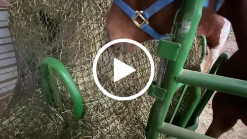 Customer video review of Hay Chix® Large Bale Net - 6'