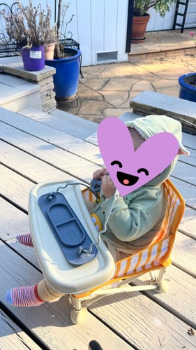 Customer photo review of Brighton portable baby chair