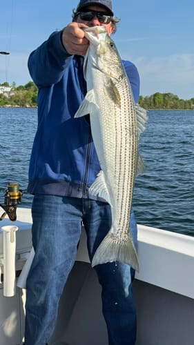 Customer photo review of Blue Wave 300-2000 Yard Spools