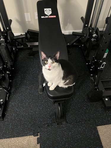 Customer photo review of Major Fitness F22 All-In-One Home Gym Power Rack