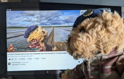 Customer photo review of 6'' RAF MTP Beanie Bear
