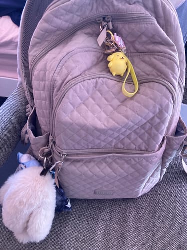 Customer photo review of The Wanderland Bonchemin 15.6 Inch Campus Backpack