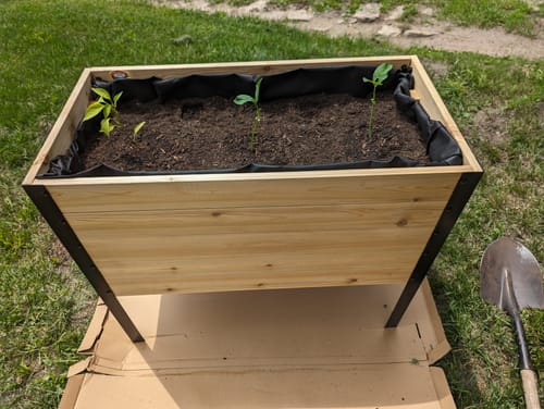 Customer photo review of 18" x 36" Raised Garden Bed