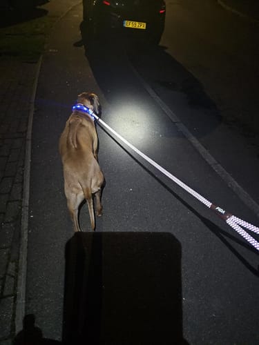 Customer photo review of FIDA Durable Slip Lead
