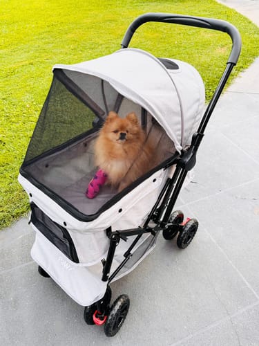 Customer photo review of PaWz Pet Dog Stroller Pram 4 Wheels