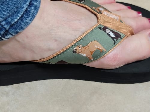 Customer photo review of French Bulldog