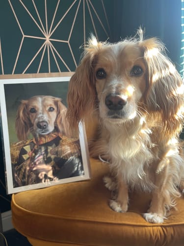 Customer photo review of The General - Custom Vintage Pet Portrait