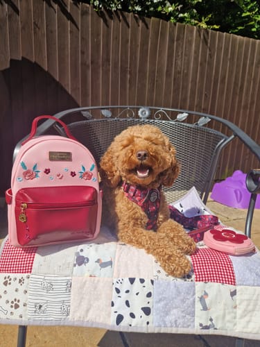 Customer photo review of Mable's Meadow Mini Backpack