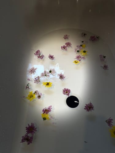 Customer photo review of Discovery Set