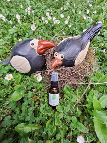 Customer photo review of Mein HERZ-CHAKRA Raumduft-Spray VERBUNDENHEIT (grün)