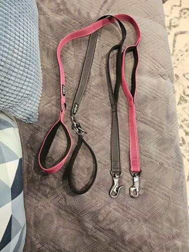Customer photo review of FIDA Heavy Duty Dog Leash