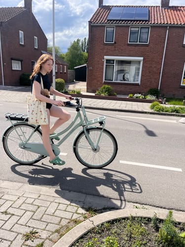 Customer photo review of E-Cargo N3