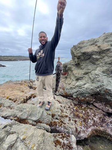 Customer photo review of 9'4" No Excuses Surf Travel Rod with Tube Medium-Heavy Action 3/4oz to 3oz