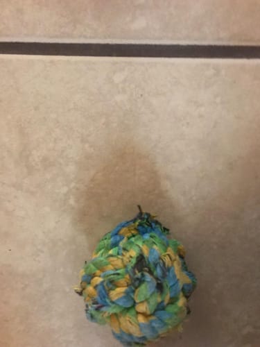 Customer photo review of FIDA Dog Rope Toys 4 Pack