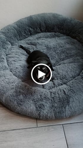 Customer video review of Cama Antiestrés Para Perros