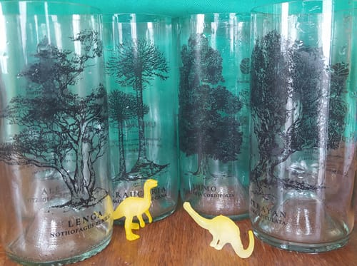Customer photo review of Juego de 6 Vasos Árboles de Chile