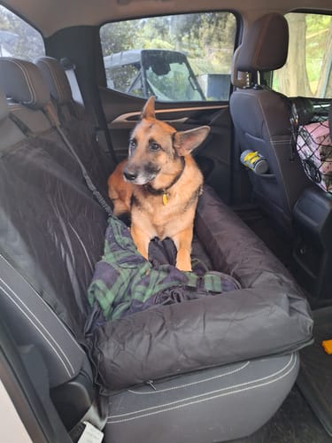 Customer photo review of Car Seat Cover