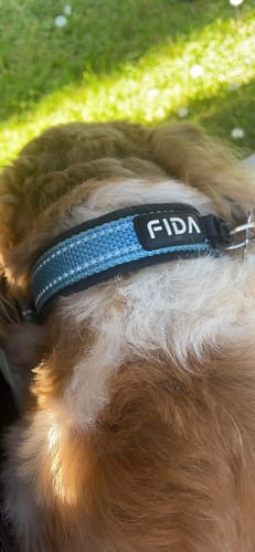Customer photo review of FIDA Heavy Duty Dog Collar