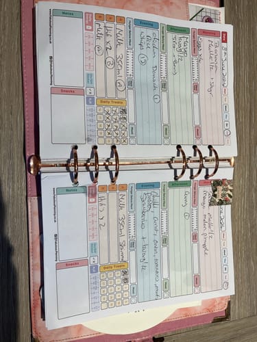 Customer photo review of Slimming World - Spacious - Organiser Refill