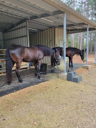 Customer photo review of Hay Chix® Half Bale Net