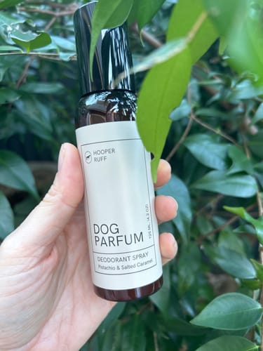 Customer photo review of Pistachio & Salted Caramel Parfum