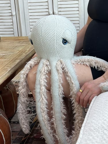 Customer photo review of The Octopus