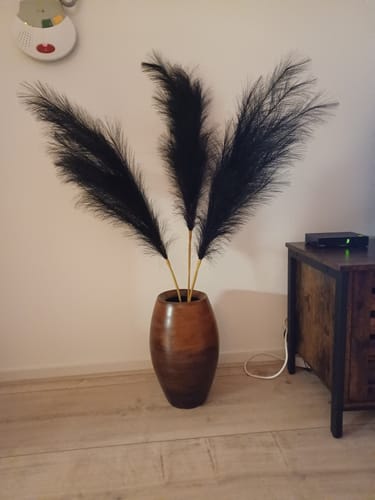 undefined review of Pampas 110cm (3 stengels)- Zwart image 1 out of 1