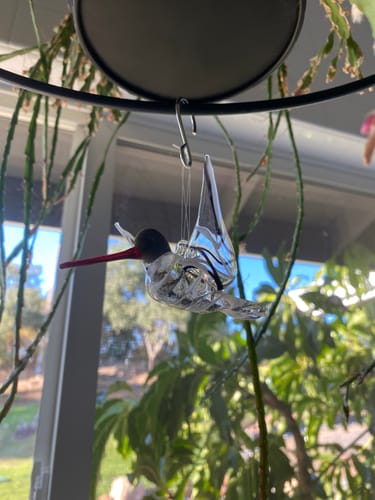 Customer photo review of Black and White Glass Hummingbird with Infused Ash