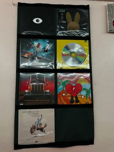 Customer photo review of 12" Vinyl Record Display Frame - LP Wall Storage