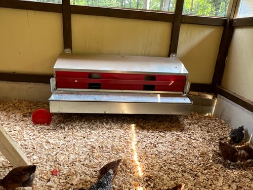 Customer photo review of Large (54") - Reversible Rollout Nest Box (Up to 52 Hens) - Ready to Ship!