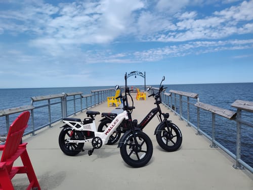 Joseph O. review of Wallke H7 Step-thru AWD image 2 out of 3