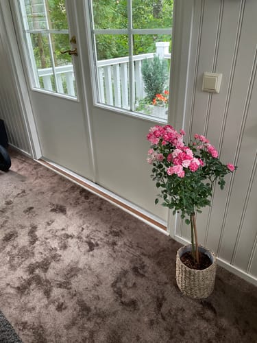 Customer photo review of Kuramatto Soft Deluxe, mittojesi mukaan leikattu