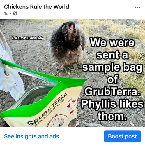 Customer photo review of GrubTerra Dried Larvae Sample