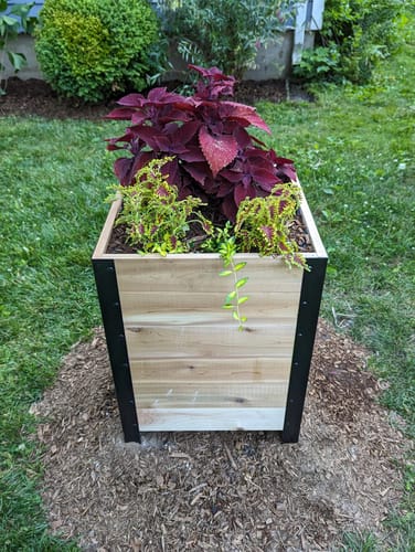 Customer photo review of 18″ x 18″ Planter Box 24" Tall