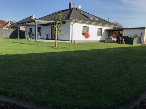 Customer photo review of Animatio Profi-Rasendünger