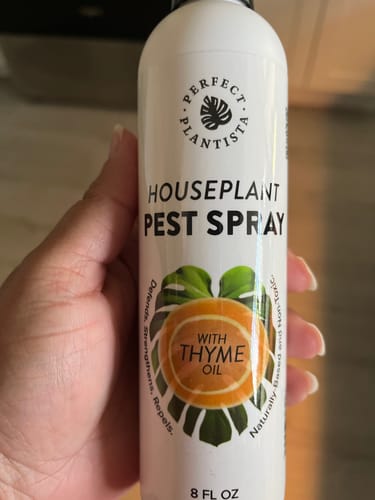 Customer photo review of Houseplant Pest Spray