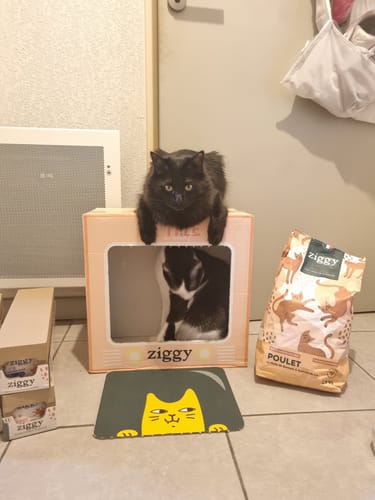 Avis photo d'un client sur Croquettes Chat Stérilisé Sans Céréales - Poulet