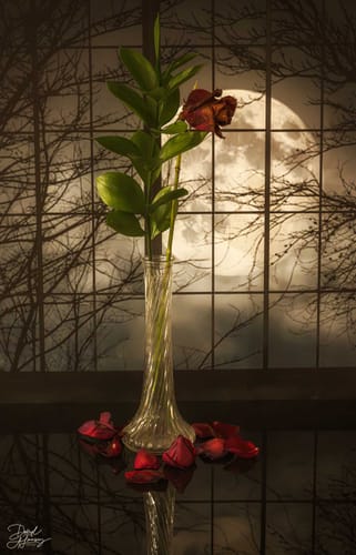 Customer photo review of Eerie View