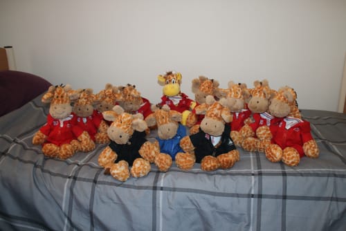 Customer photo review of Red Arrows Suit for 9in Bear