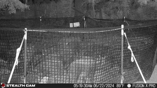 Customer photo review of Pig Brig Trap System