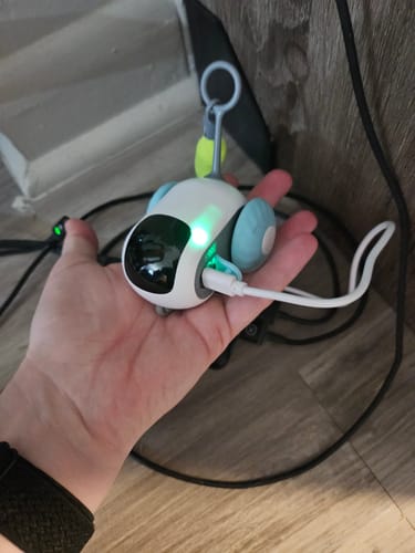 undefined review of TURBO TAIL 2.0 image 1 out of 1