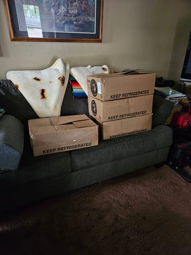 Customer photo review of Quarter Cow (Deposit)