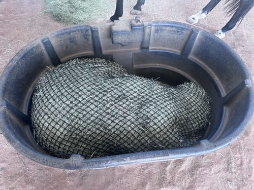 Customer photo review of Hay Chix® 3-Strand Bale Net (West Coast Net)
