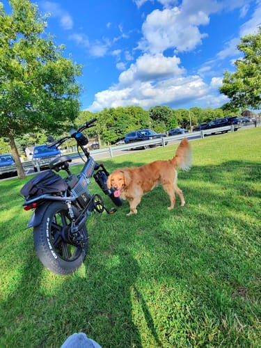 Customer photo review of Wallke H9 AWD