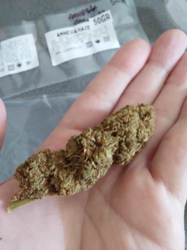 Customer photo review of Amnesia Haze - Big Buds - da 2,25€/gr (lot. 04/2024) - cbd 16%