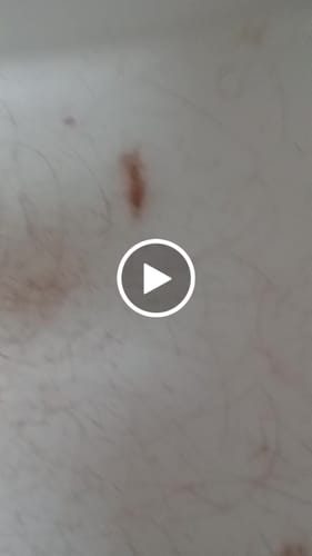 Customer video review of FrenchSplitPro™